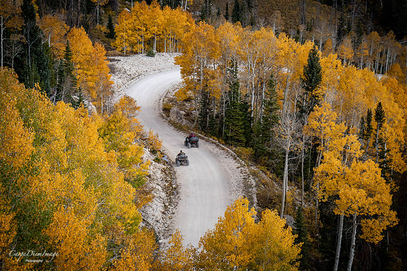 Fall SanPete Twelve Mile 2-color