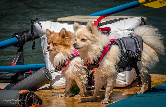 On a Voyage