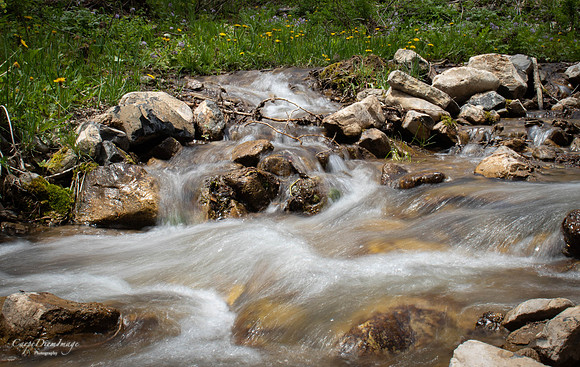 20220603-IMG_3202
