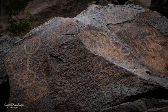 20210528-20210523-IMG_2623