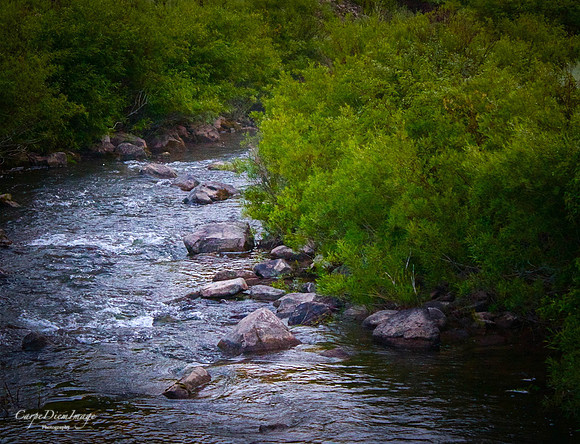 20130707-6C5B1417-AFFE-410B-9B0B-509F18B90A83