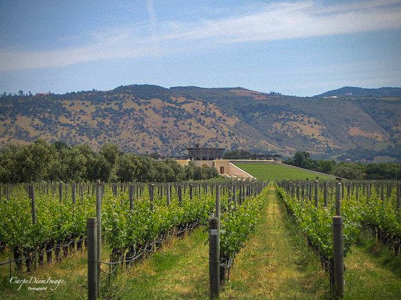 20210402-20050513-Napa May 2005 007