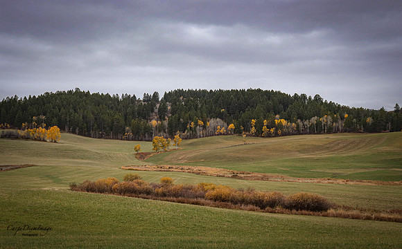 20211015-20211012-IMG_4047
