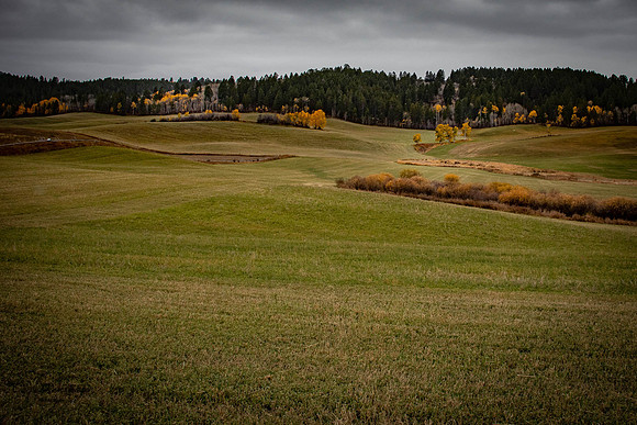 20211015-20211012-IMG_4058