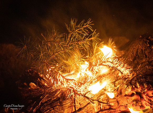 20221021-IMG_6784