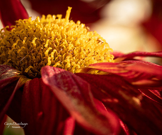 20211125-20211122-IMG_0131-3
