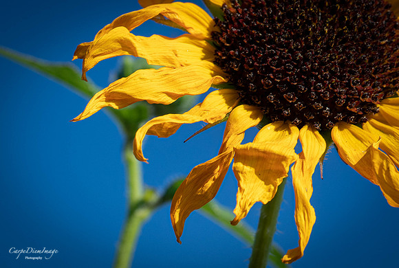 20210908-20210826-IMG_3274-4