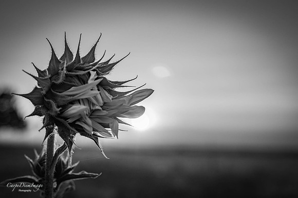 20210908-20210829-IMG_3651-4