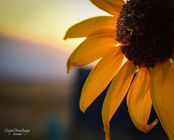 20210908-20210829-IMG_3527-3