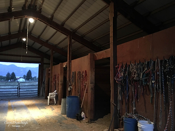 Wyoming Horse Barn 2 Color