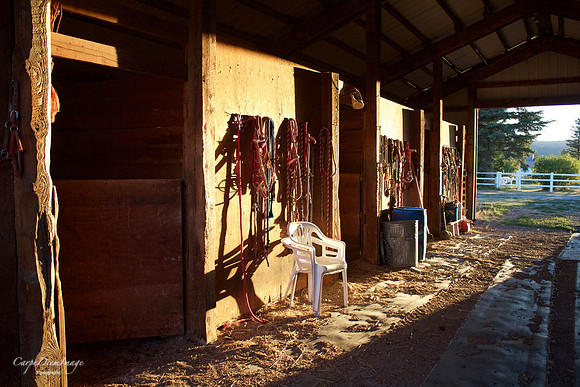 Wyoming Horse Barn 1