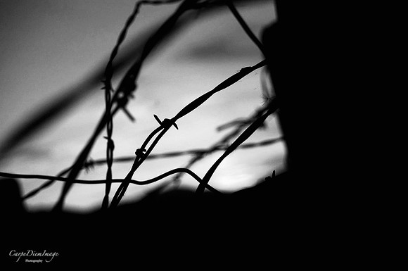 20210327-F97C9CA4-10CC-44F8-8BD4-9E72BDEF6784
