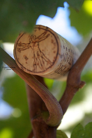20120922-93568E88-956F-4F33-9F23-B5BAF49CEA01