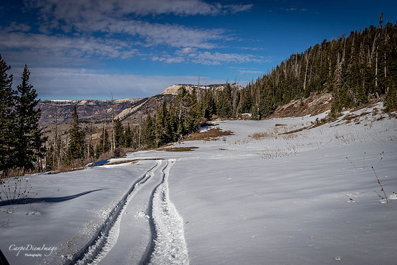 SanPete Twelve-Mile