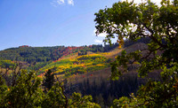 Fall