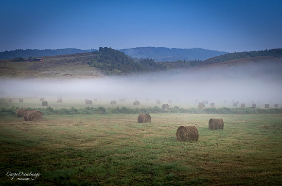 Hay field 3-color