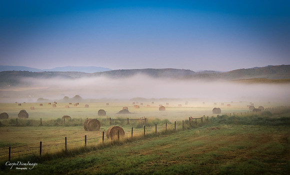 Hay field 2-color