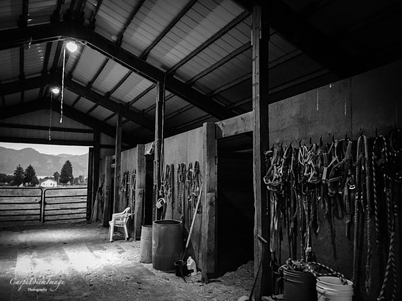 Wyoming Horse Barn 2 B/W