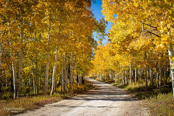 Fall SanPete Twelve-mile 1-color