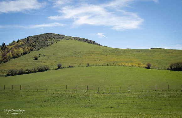 Spring in Wyoming