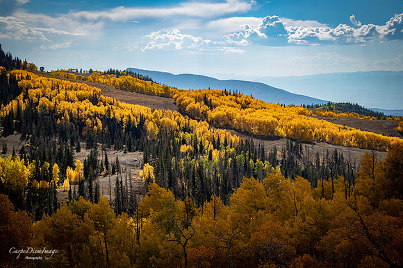 Fall Order Mountain SanPete 2-color